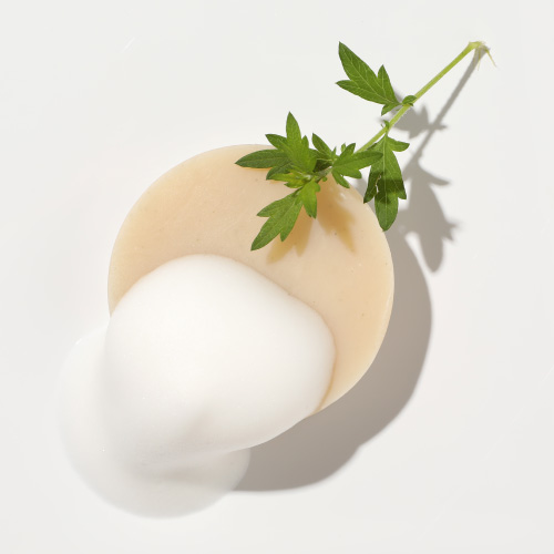 【定期便20％OFF　２か月/２個お届け】　Fairyring シャンプーバー　リフレッシュ　植物油100%のシャンプーバー 無添加　コールﾄﾞプロセス製法でじっくり熟成　初回お試し１個配送